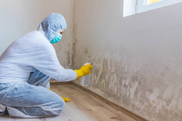 Hvac And Air Duct Mold Remediation inspection of HVAC system in Wallingford